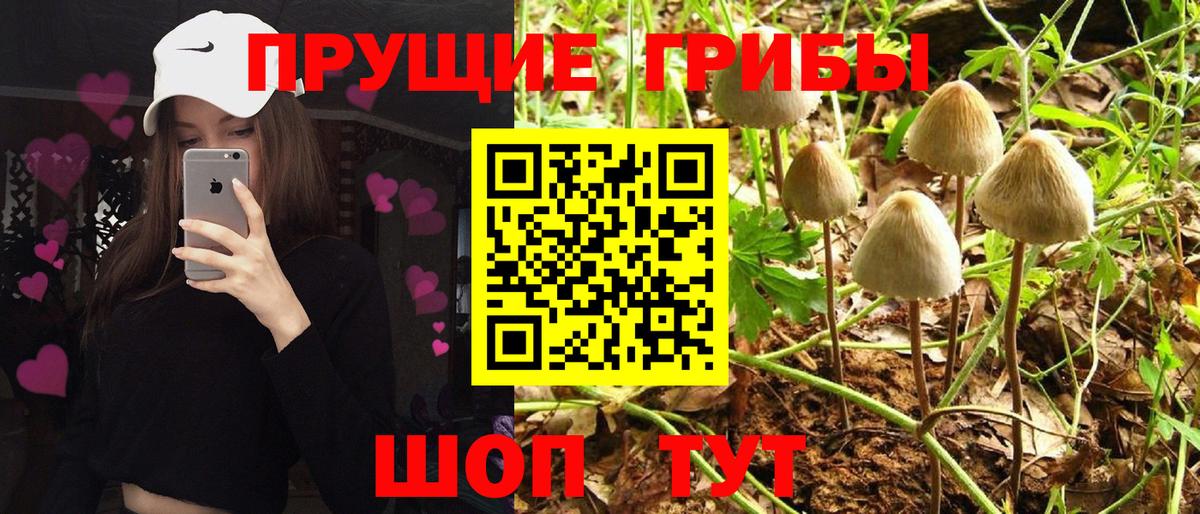 Псилоцибиновые грибы Magic Shrooms Тольятти
