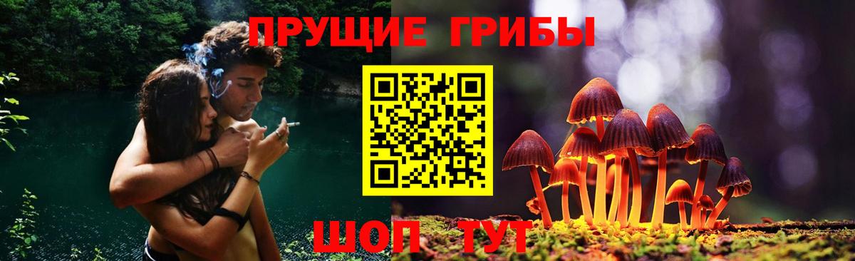Тольятти  Псилоцибиновые грибы мицелий  хочу   Галлюциногенные грибы мухоморы  Вход с VPN 